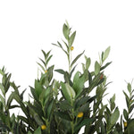 Artificial Bushy Olive Tree with Olives 180cm V77-1058967