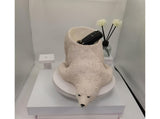 Polar Bear Craft Decorative Entrance Holder - White V1263-JX-913