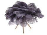 Feather Table Lamp USB Rechargeable Ostrich Feather Desk Light with Gold Tripod for Bedroom 40Pcs V1294-YM0703-3119230059515