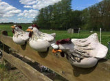 Chicken Sitting on Fence Decor Garden Statues for Fences Rooster Statues Wall Art Yard Art V1369-AZ3-W-11865