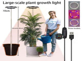 Versatile Floor Plant Grow Light with Full Spectrum LED Ring, Telescopic Stake, 3 Color Modes, V1341-ZY-WAQJ6S4A-WHITE-3PCS