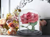 Glass Dome with Black Wooden Base - Clock Shaped Display Case - Home Decor - Desk Ornament V1258-DP02-BOL-433