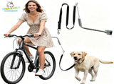 Bike Dog Leash with Shock-Absorbing Spring Bracket Hands-Free Cycling Dog Walker for Outdoor V1341-ZY-FE96E793-SILVER