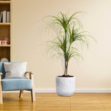 SOGA 150cm Artificial Dracaena Plant Fake Potted, Simulation Tree Fake Plant Home Decor APLANTFHL1504