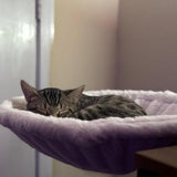 Cat Desk Bed, Ergonomic Cat Hammock for Office Desk, Sturdy Clamp-on Pet Bed for Remote Workers and V1237-ZY-924-066
