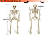 Halloween Skeleton 36-Inch Skeleton Poseable Skeleton Halloween Decorations - White - Size 1 Pcs V1107-129-72160-WHT-1PCS