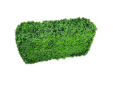 Deluxe Portable Buxus UV Resistant 100cm Long x 50cm High x 25cm Wide V77-1017404