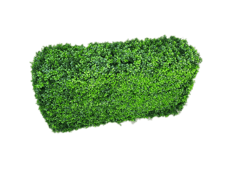 Deluxe Portable Buxus UV Resistant 100cm Long x 50cm High x 25cm Wide V77-1017404