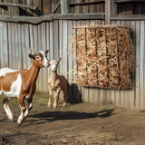 Livestock Hay Feeder 2 Packs 24 Gallons Wall Mounted Goat Hay Rack V952-SCWSQ271025IZY7HDV0