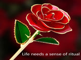 24K Gold Plated Rose, Dried Flower Kit with Gift Box and Display Stand, Rose Red V1237-ZY-203-0106