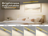 Wall Picture Light, 24in-Powered Gallery Light for Artwork, CCT Dimmable Rechargeable V1171-CB-TR-GPL-1-USB-RM-60CM