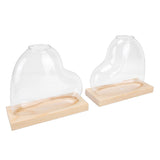 2PCS Propagation Vases Heart Shaped Glass Desktop Planter Plant Propagation Station for Small V1294-YM0901-3115260004712