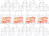 50pcs Clear Plastic Gift Bags with Handles PVC Reusable Transparent Totes Bags for Goodie Candy V1258-DP02-WO-171