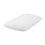 Giselle Bedding Duck Feather Down Pillow Twin Pack PILLOW-DFD-X2