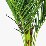 180cm Phoenix Palm - Artificial Plant, Home Decor Flora V915-MB0044