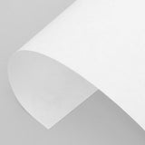 60Pcs White Cellulose Filter Paper for Lab Absorbent Qualitative Analysis and Chemistry Experiments V1369-AZ3-W-19245