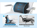Bamboo Memory Foam Lumbar Support Cushion V1181-MB0099