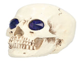 Skull Ornaments Vivid Lightweight Easily Clean Add Horror Ambience Halloween Props for Party Haunted V1294-YM0714-3115210185211