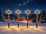 Solar Snowflake Stake Lights 5-Pack, Waterproof Outdoor Christmas Decor with 5 Glowing Snowflake V1341-ZY-U7EUHTQ5-2SETS