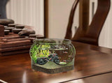 At-Home Freestanding Plastic Fish Tank, Clear, 7.48"L x 7.48"W x 6.53"H V1192-AZ-W-29435
