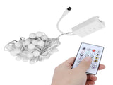 5V RGB Light String IP65 10m WIFI Intelligent Decorative Lamp with 24Key Remote Control V1294-YM0901-3119210062211