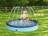 Pawz Folding Dog Swimming Pool PT1248-L_NZ