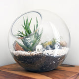 3Pcs Glass Plant Terrarium Containers for Desktop and Garden Use V1370-AZ4-14710