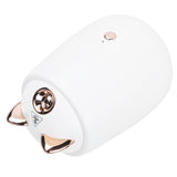 Facial Steamer Portable White Nano Thermal Spray Humidifier Skin Humidifier V1294-YM0901-3113210176111