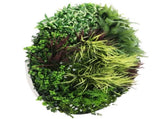 Slimline Artificial Green Wall Disc Art 100cm Grassy Fern UV Resistant V637-DP9856