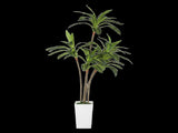 Lambu Artificial Dracaena Tree Lifelike Fake Leaves Artificial Plants Indoors UM1265-6FT-AU
