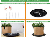 6 Pack 12 inch Self Watering Base for Fabric Grow Bag, Self-watering Plastic Elevated Plant Saucer V1258-DP02-C-524