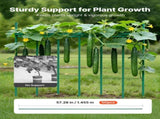 Garden Stakes, 50 Pack, 1455 mm, Plastic Coated Metal Tomato Stakes, Garden Sticks for Plants V952-ZWZCHYZ15M11VIKZD001V0