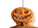 Hanging Pumpkin Ghost with Sound Battery Powered Rotatable Head Light Up Ghost Pumpkin Decoration V1294-YM0901-3115240055611