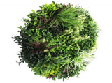 Slimline Artificial Green Wall Disc Art 80cm Colour Fresh UV Resistant V637-DP9864