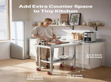 Stainless Steel Table, 60 x 76 cm Food Prep Worktable with Wheels, Kitchen Prep Table with V952-DLGZT2CWDB248JRDY001V0