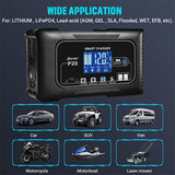 12/24V Automatic Car Battery Charger For Lithium Lifepo4 Lead-Acid AGM/Gel/SLA V201-BAZ2020BL8AU