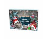 Cat Advent Calendar 2024 Christmas Countdown Calendar Xmas Gift for Kitten Toys 24Pcs V1263-JX-1332