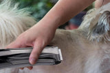 Pet Vacuum Hair Clipper Dog Shaver Clipper 3 Speed USB Electric Pet Razor Low Noise Pet Trimmer V1263-JX-6214-1