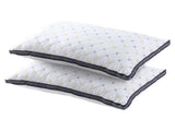 Giselle 2pcs Pillows Microfibre PILLOW-MICRO-4873X2