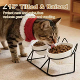 15 Degree Raised Ceramic Cat Bowl Set V1237-ZY-908-082