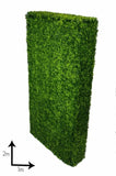 Large Portable Boxwood Hedges UV Stabilised 2m By 1m V77-1001780