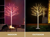 Jingle Jollys Christmas Tree 1.7m Twigs 120 RGB LED Lights Xmas Trees Decoration XMAS-TWIG-RGB-6FT-DIMMABLE