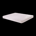 PALERMO Queen Bed Mattress V63-799557