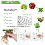 36 Sites Hydroponic Grow Tool Kits Vegetable Garden System 220V Water Pump V201-FDZ1128WH8AU