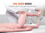 Nursing Training Manikin, Male Life Size Demonstration Human Manikin for Nursing Training, V952-HLRTMXDBLNXH3GWPCV0