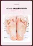 Magnetic Foot Massage & Waist Twisting DiscHome Body-Shaping Fitness Equipment, Silent Anti-Slip V1106-ZYNYP001