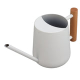 Watering Can 900ml Stainless Steel Long Spout Wooden Handle Elegant Flower Watering Pot for Garden V1294-YM0706-3111230174011