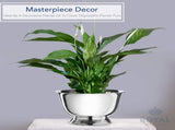 8" Decorative Plastic Planter Pedestal Bowl- Flower Pot Cover, Footed Succulent Dish for Wedding, V1258-DP02-C-401