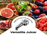 Gourmet Easy Lemon Juicer, Stainless Steel Orange Juicer, Portable Manual Juicer V1376-JUICER