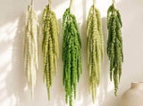 5Pcs Bleached Amaranthus Hanging Flowers, 23" Light Green Dried Preserved Hanging Wisteria Flowers V1192-AZ-W-17956